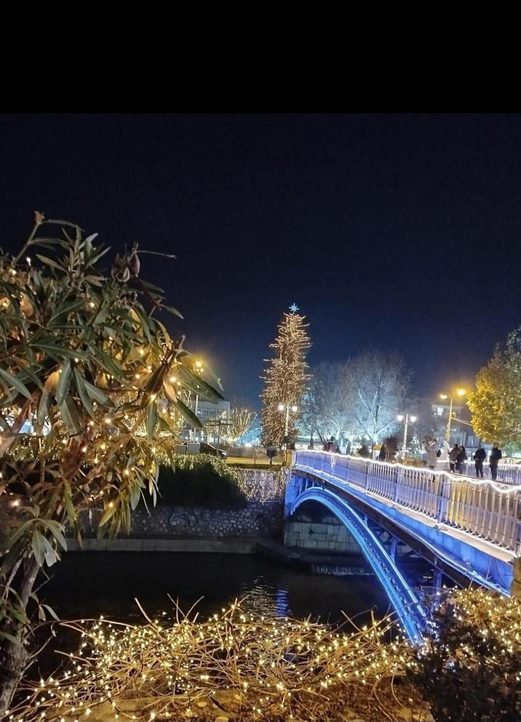 Elegante Apartamento Centrale Trikala  Luaran gambar